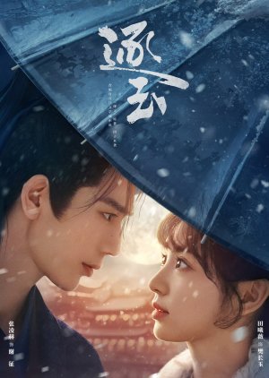 Pursuit of Jade chinese drama poster
